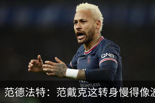 范德法特：范戴克这转身慢得像波音747，这可不是什么好事